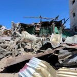 A goat walks through destruction caused after a car exploded in the Madina district of Mogadishu