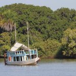 Pleasure-Boat-Gambia-River-NP-2