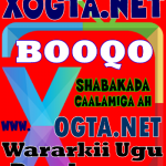 xogta